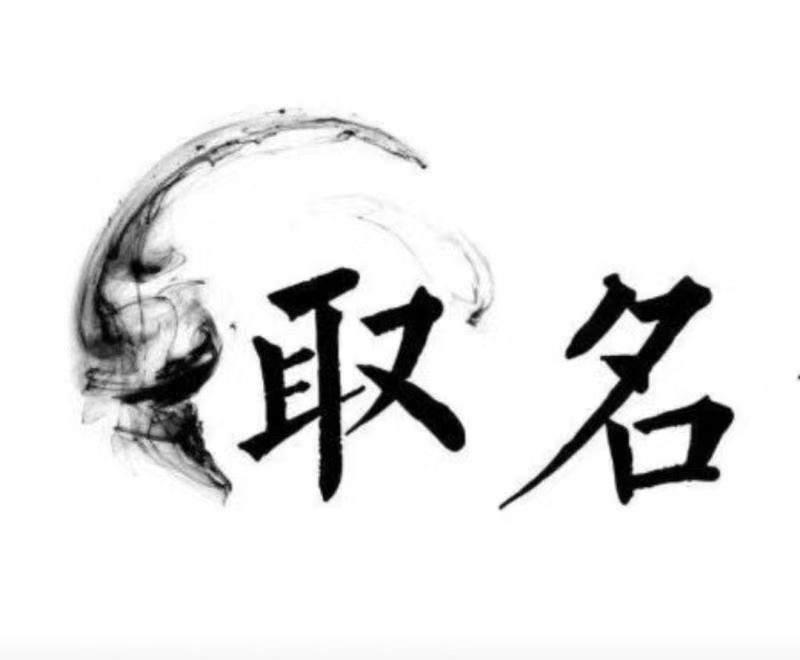  阜平宝宝取名 大师一对一人工起名